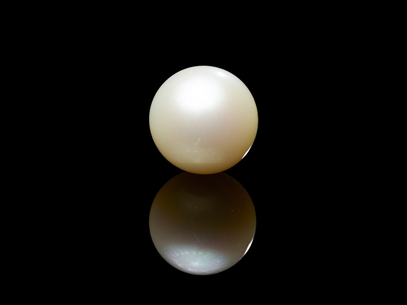 Againt a dark background Againt a dark background